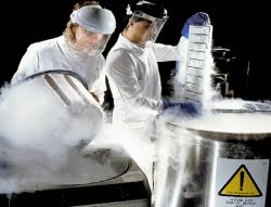 O que é a criogenia humana e como funciona? O que é a criogenia humana e como funciona?