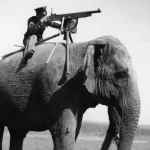As 10 principais fotos históricas