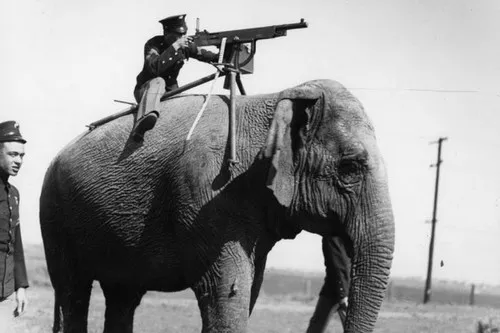 As 10 principais fotos históricas