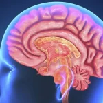 10 dicas para impulsionar seu cérebro
