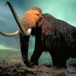 10 espécies animais extintas mais surpreendentes