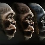 14 grandes fatos sobre a evolução