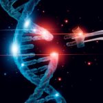 14 Curiosidades sobre mutação