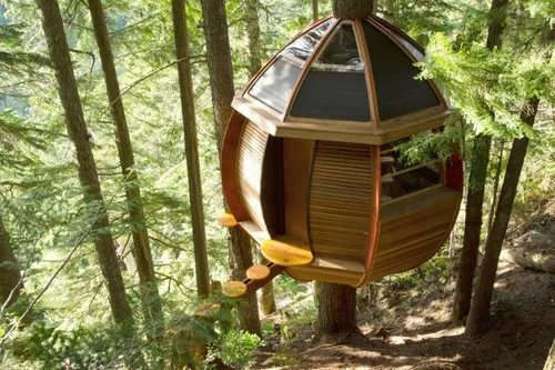 As 10 melhores casas na árvore de todo o mundo