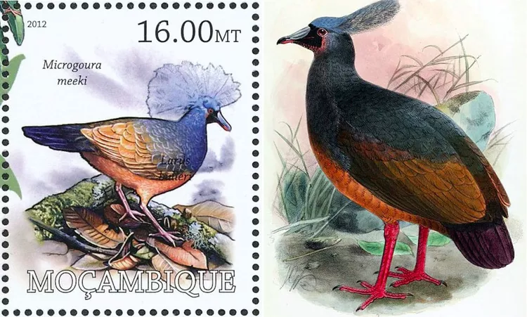 espécies de aves Extintas