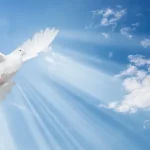 Símbolos cristãos e seus Significados