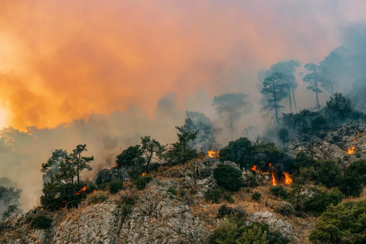 diferença entre o aquecimento global e as mudanças climáticas