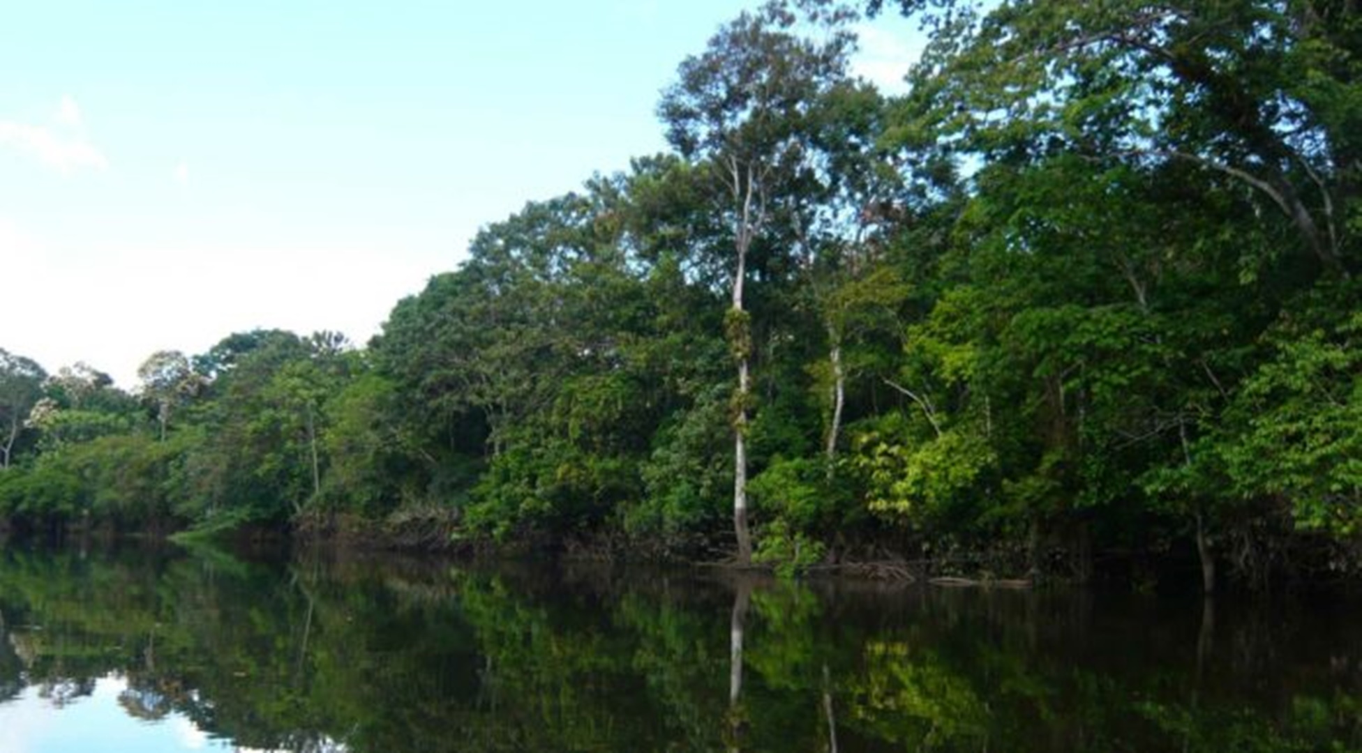 Viagem à selva amazônica